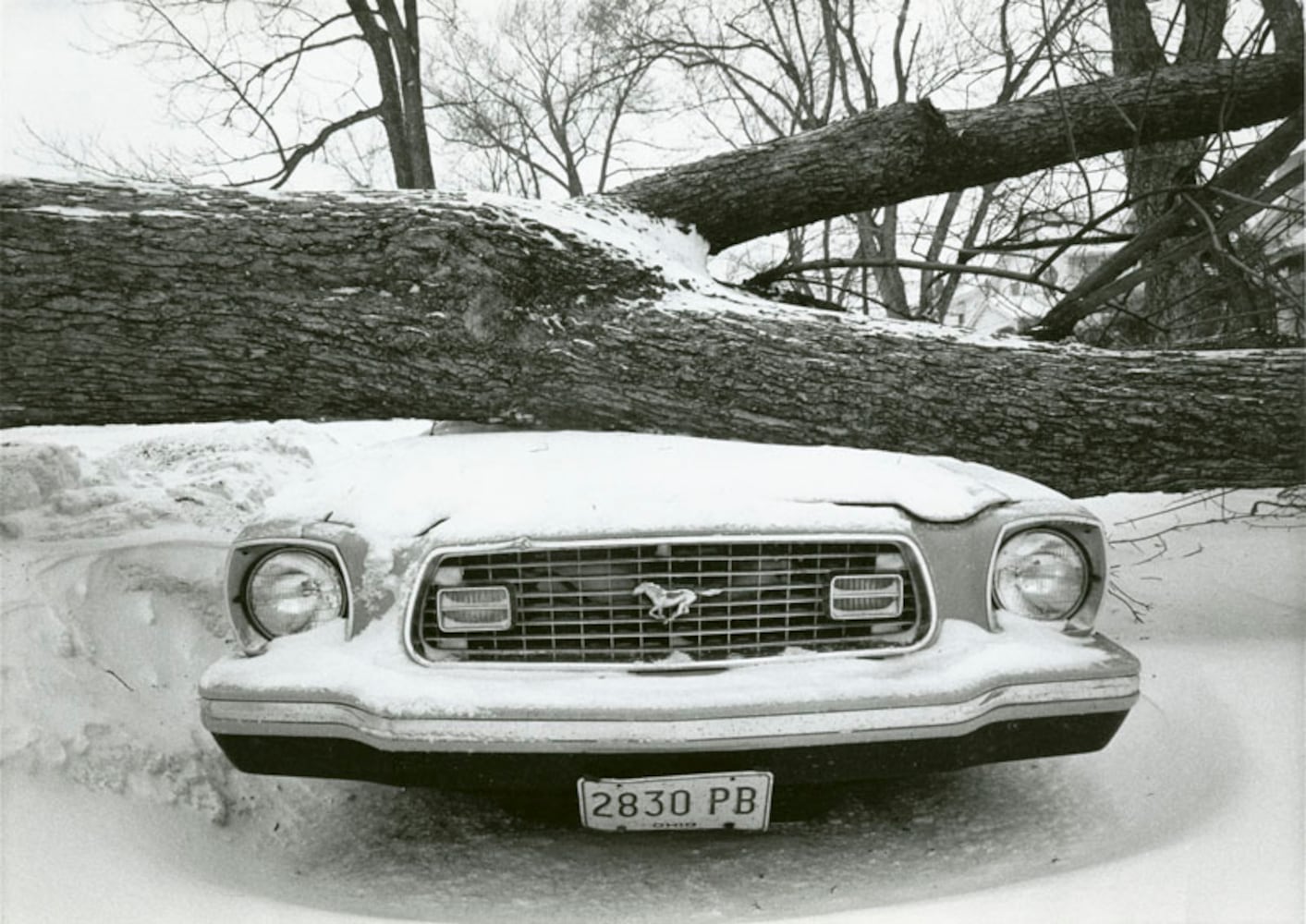 1978 blizzard