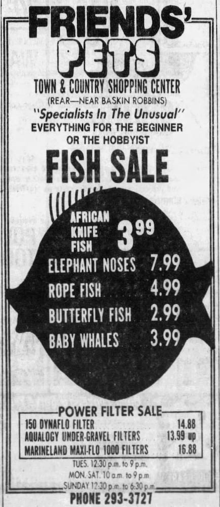Town and Country shopping center advertisements