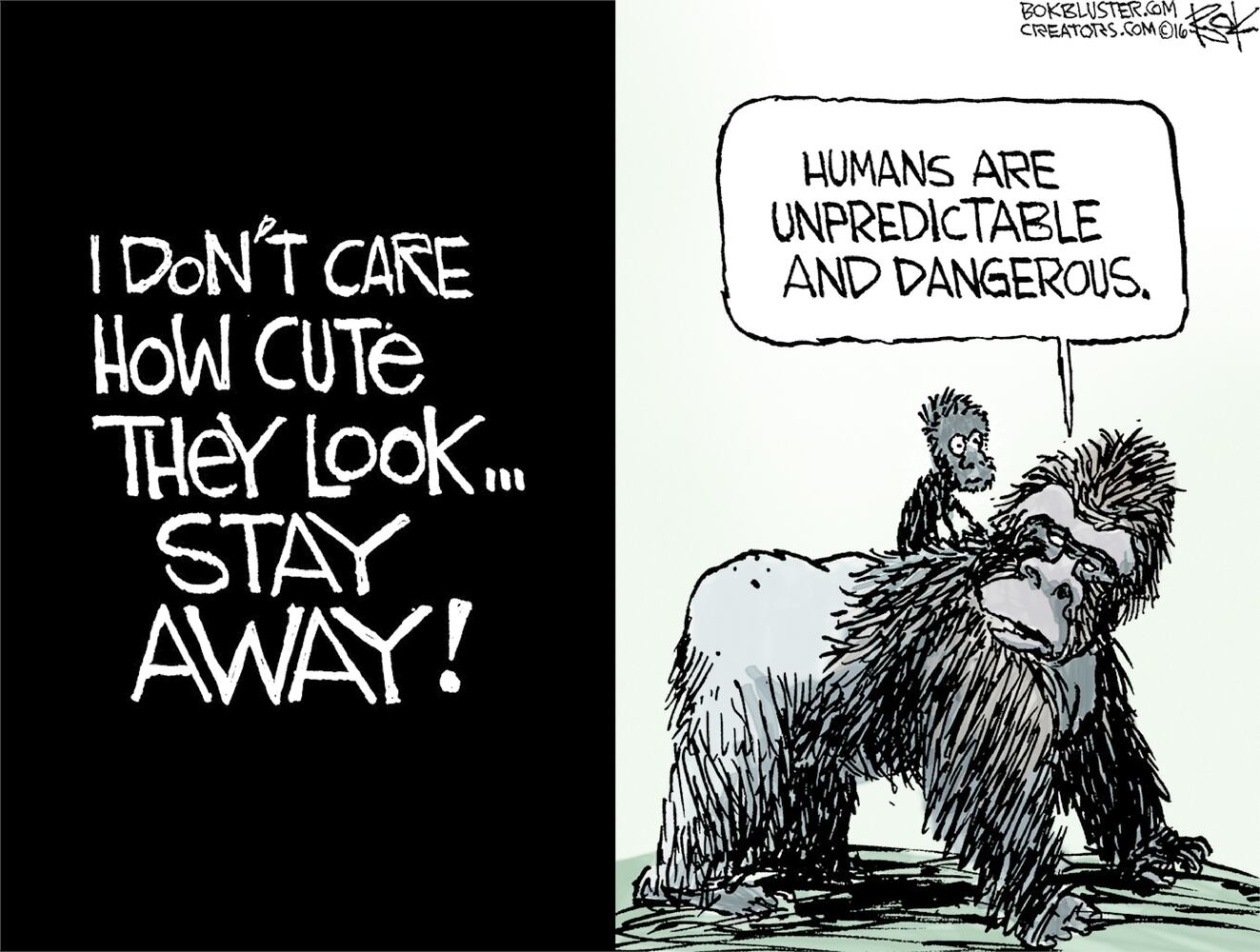 Today's cartoons 6/3