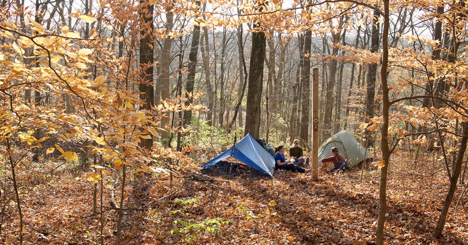 Contributed by MetroParks