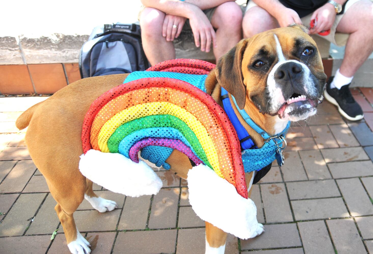 PHOTOS: Did we spot you at the Dayton Pride Parade & Festival?