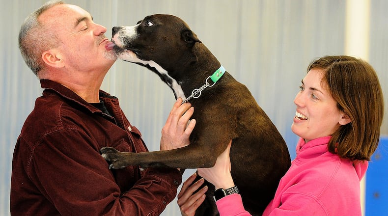 Steve Dunham gets love from Ari, a Pit Bull being held by Sami Clark at Dog Training Personalized in Kettering. MARSHALL GORBY\STAFF