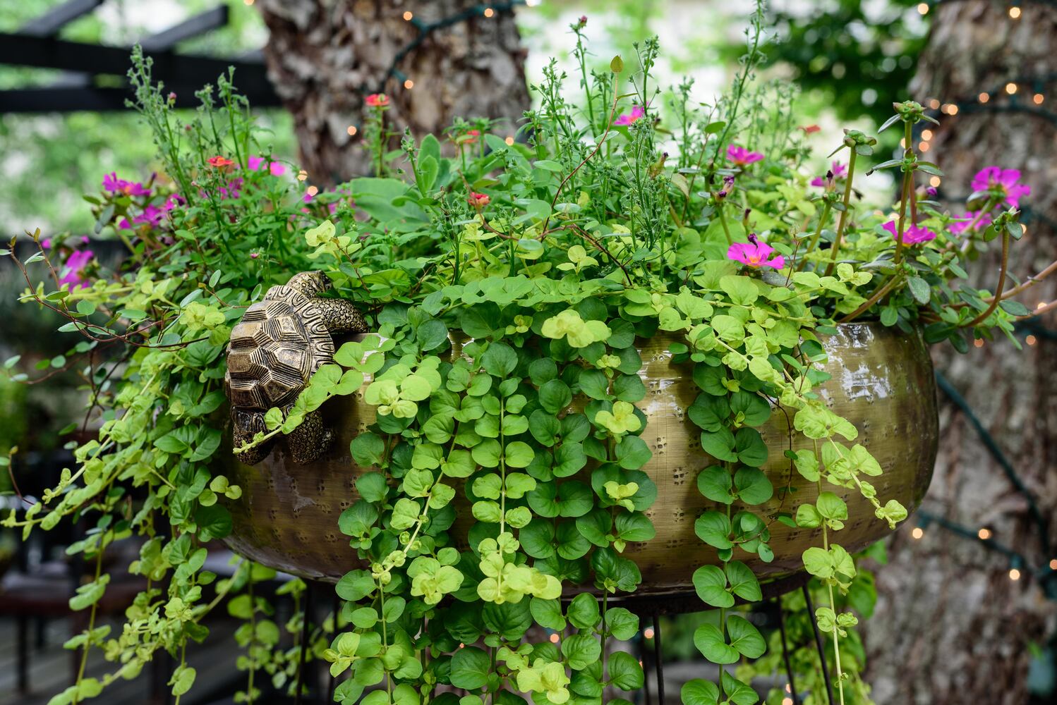 PHOTOS: 2024 St. Anne's Hill Historic District Garden Tour