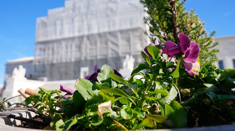 With flowers in the foreground, construction on the front of the U.S. Supreme Court continues Monday, Nov. 24, 2025, in Washington. (AP Photo/Mariam Zuhaib)