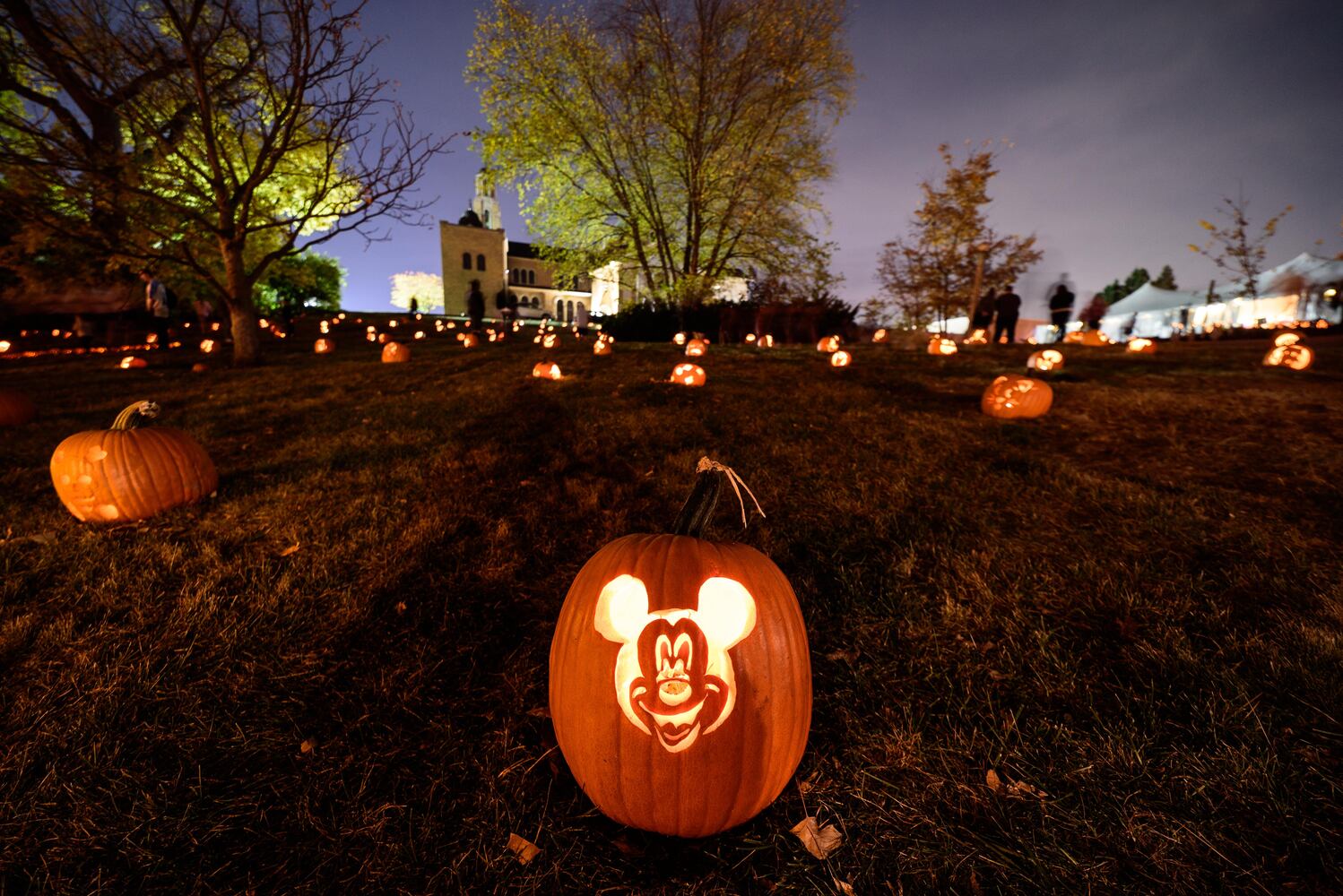 PHOTOS: The Stoddard Avenue Pumpkin Glow