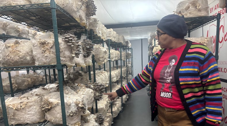 Guided by Mushrooms coowner Audra Sparks shows some of the oyster mushrooms growing in the operation. Eileen McClory / staff