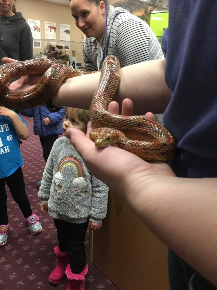PHOTOS: Boonshoft Museum’s newest baby zoo animal is slithering into people’s hearts