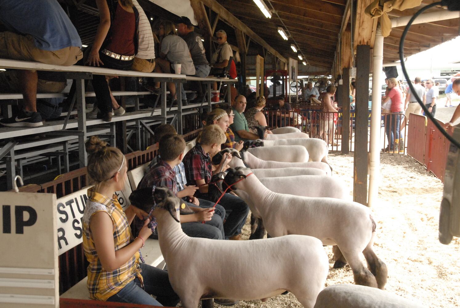 PHOTOS: Did we spot you at the Great Darke County Fair?