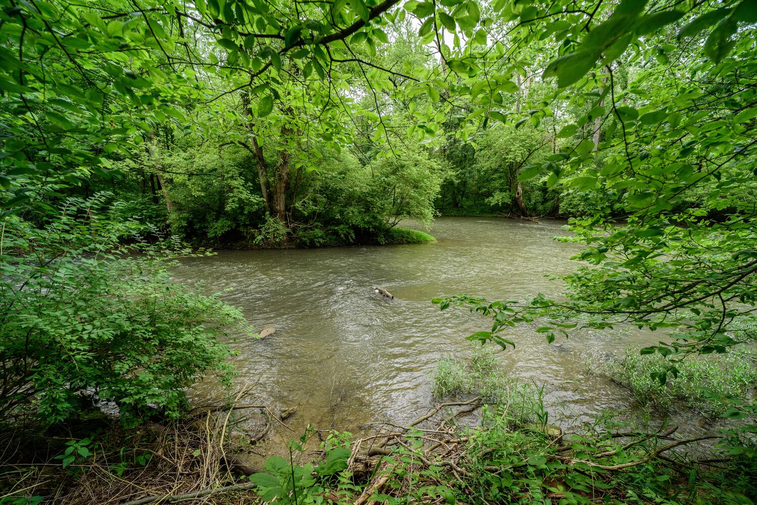 Bear's Mill Greenville