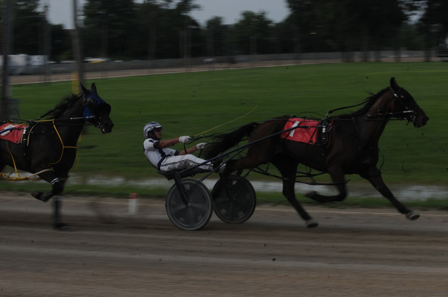 PHOTOS: Did we spot you at the Great Darke County Fair?