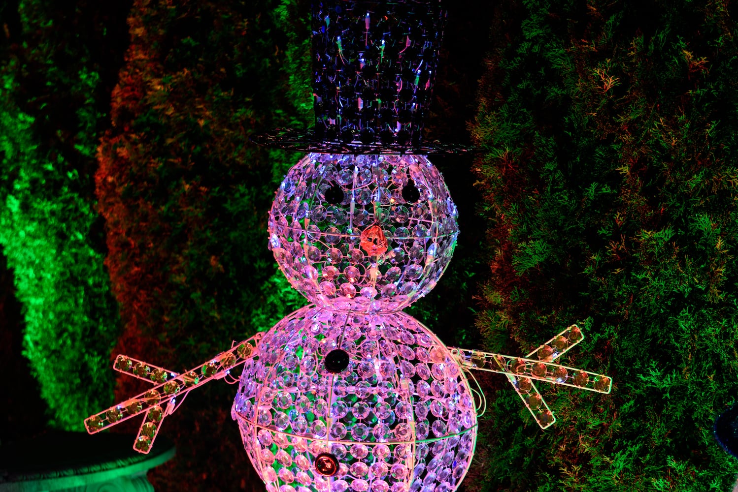 PHOTOS: Christmas Light Spectacular at Cedar Springs Pavilion