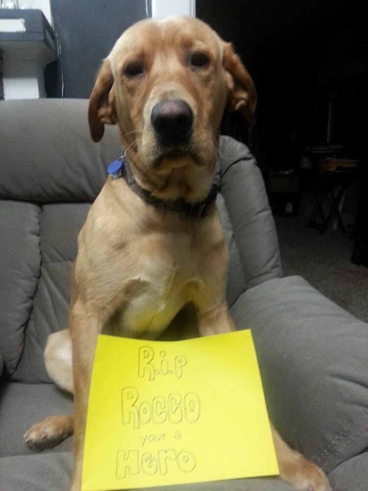 RIP Rocco