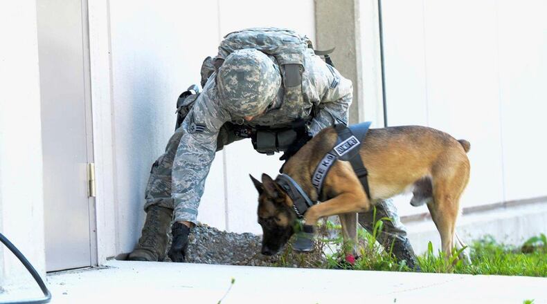 A military working dog team sweeps the exterior of the National Air and Space Intelligence Center during an active shooter exercise at Wright-Patterson Air Force Base Aug. 2. The exercise was held as part of the requirement set for military installations to hold active shooter exercises twice a year. (U.S. Air Force photo/Wesley Farnsworth)