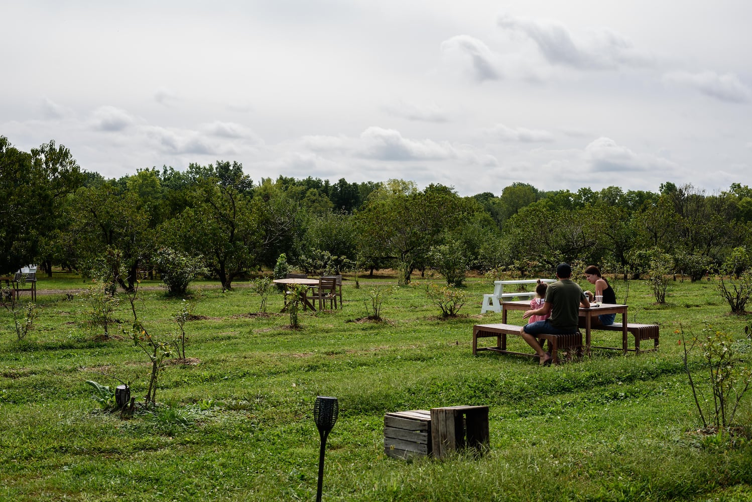 Hidden Valley Orchards