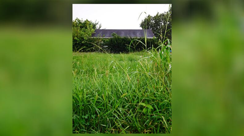 Xenia is considering a change in property codes that would eliminate multiple notifications to property owners for tall grass. NICK GRAHAM/STAFF