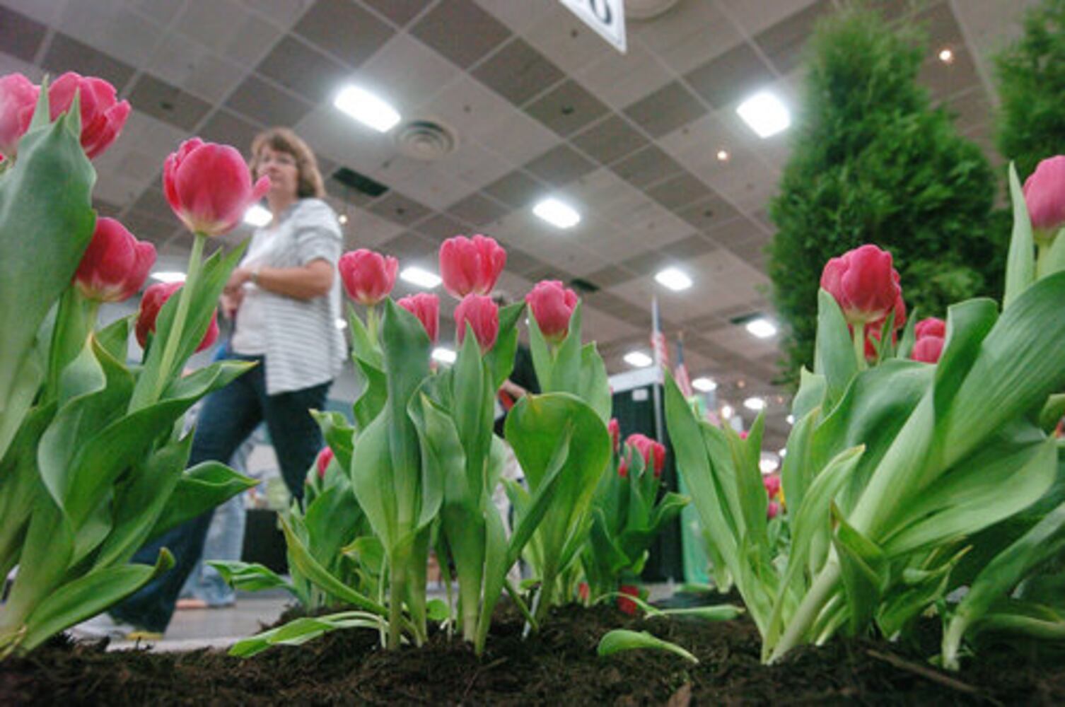 2012 Dayton Home & Garden Show