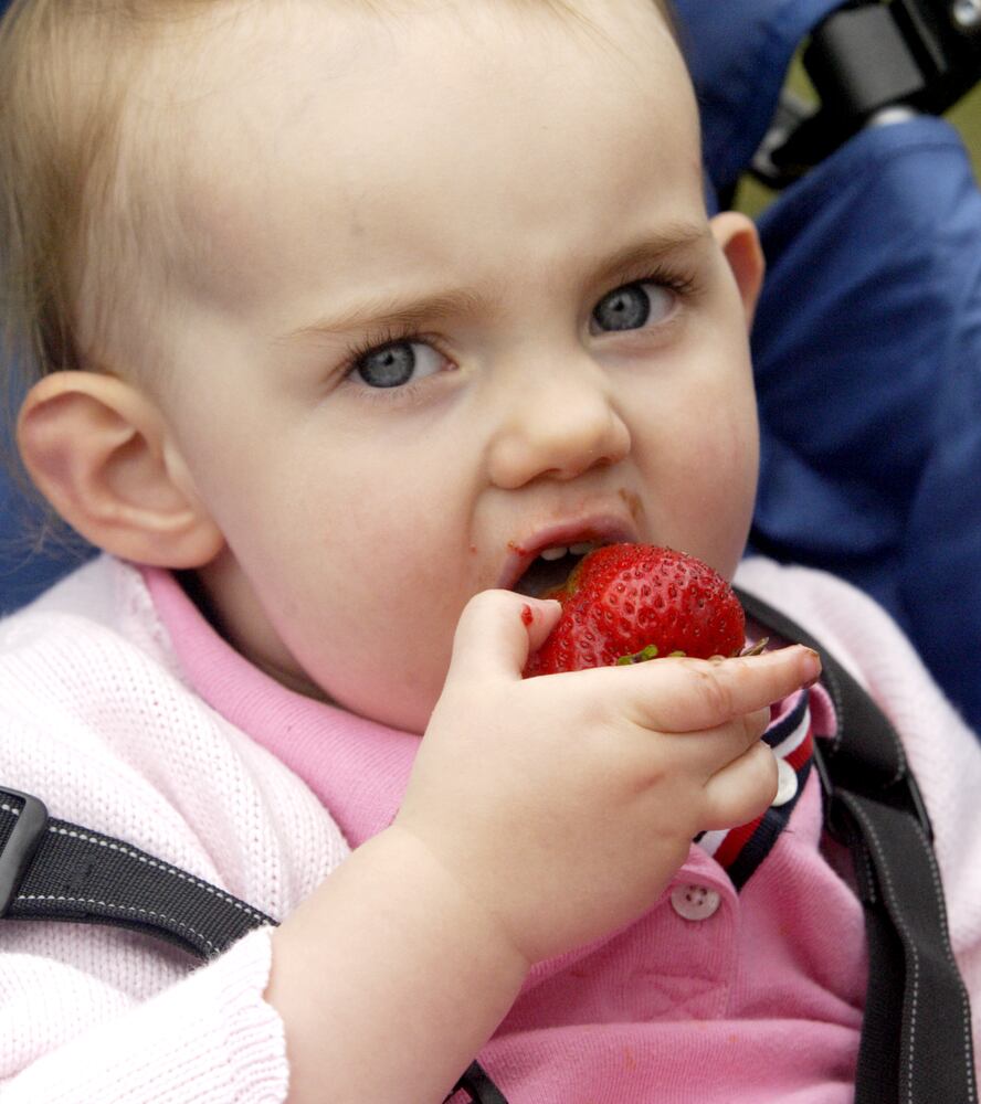 Troy Strawberry Festival through the years