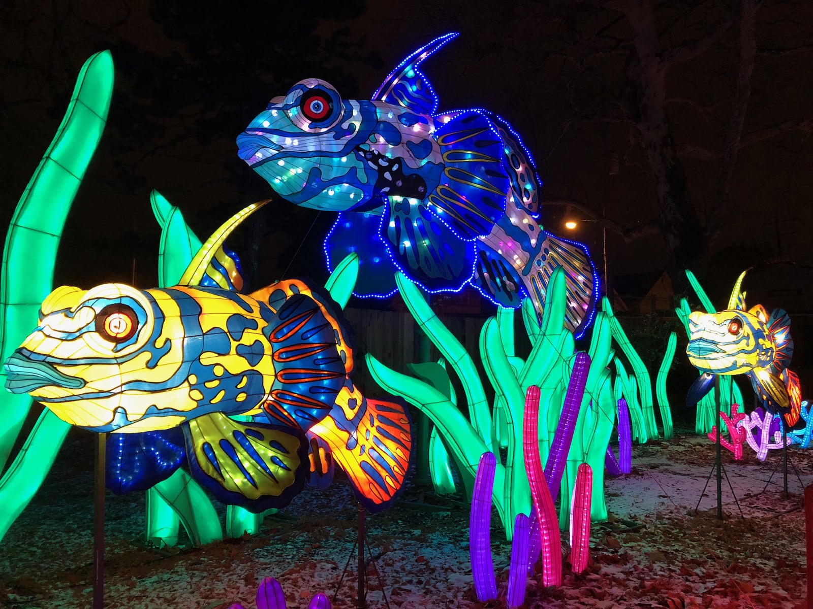Ohio Chinese Lantern Festival is returning to the Expo Center with bigger and brighter lights this winter!