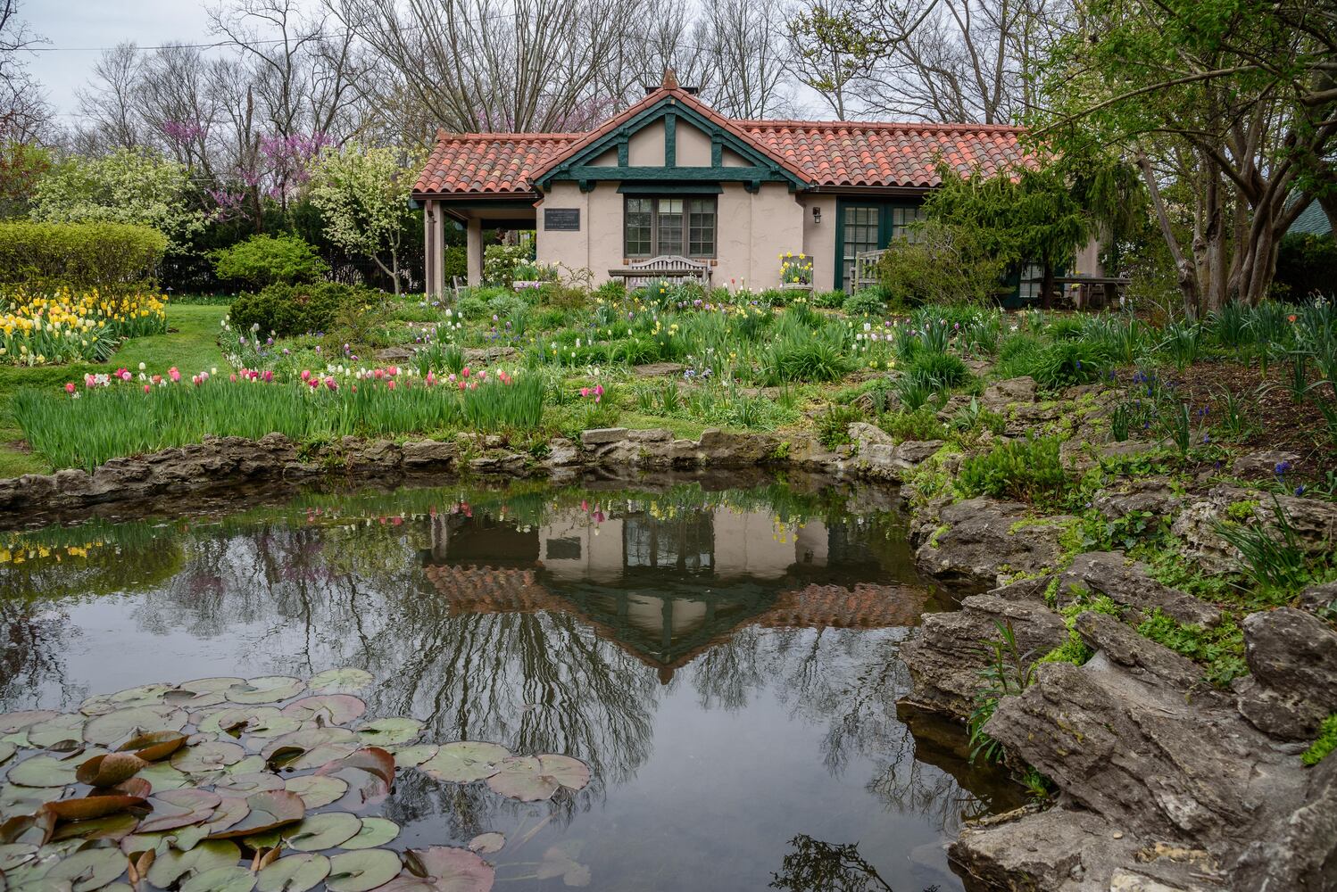 PHOTOS: Multi-colored tulips are in full bloom at Smith Memorial Gardens