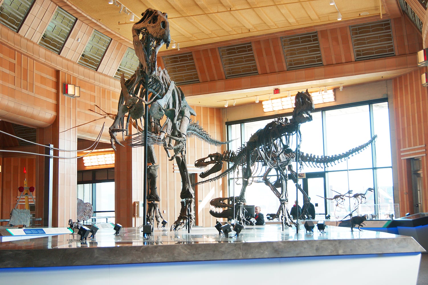 PHOTOS: Cincinnati Museum Center reopens with dinosaurs 60-feet tall and mysteries of the Maya civilization