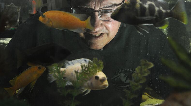 David Ratay, owner of Aquascapes Custom Aquarium Sales, checks on one of his many aquariums at his business. MARSHALL GORBY\STAFF