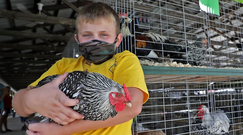 Beavercreek residents will not be allowed to keep chickens in their backyard, after a decision by city council last night. BILL LACKEY/STAFF