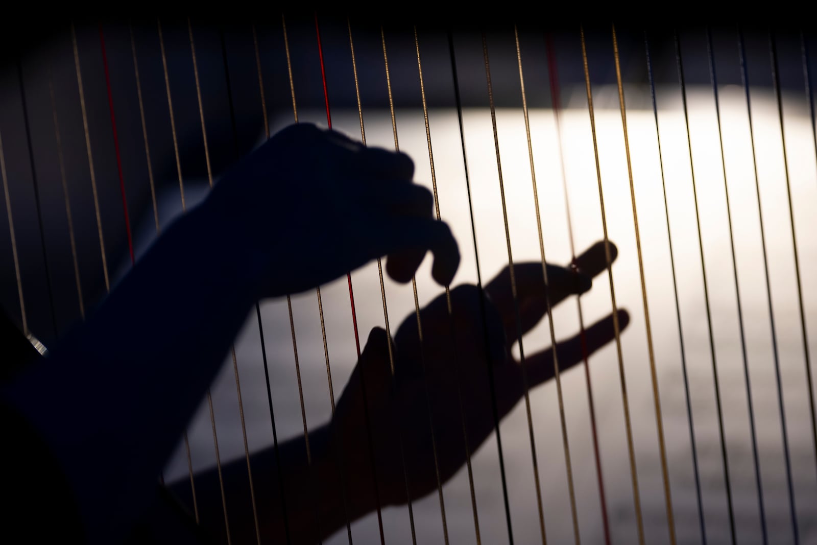 A member of the Vienna Symphony Orchestra plays on harp during "The Blue Danube" waltz as it is transmitted into deep space towards Voyager 1. in Vienna, Austria, on Saturday, May 31, 2025. (AP Photo/Denes Erdos)