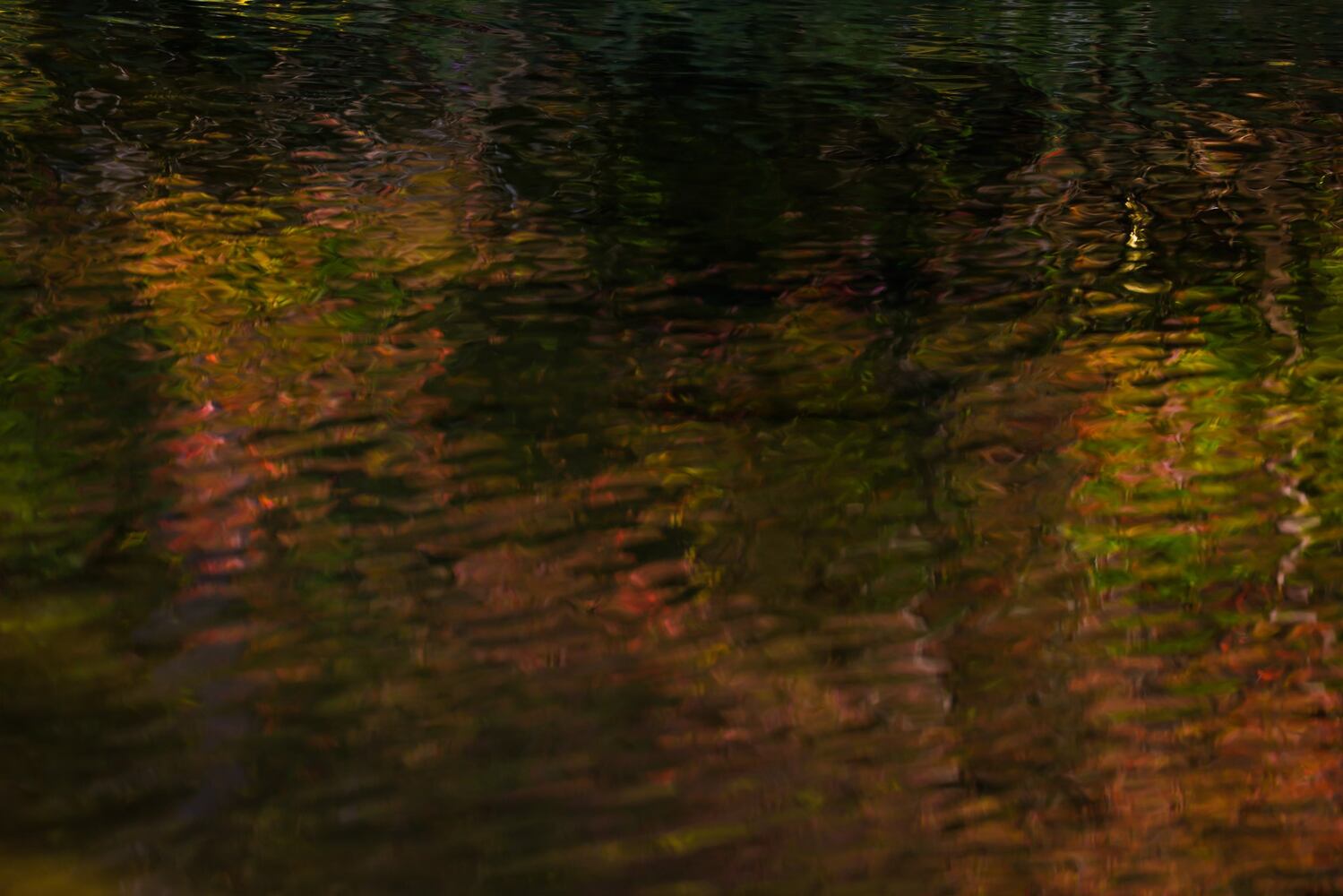 Autumn colors 2021