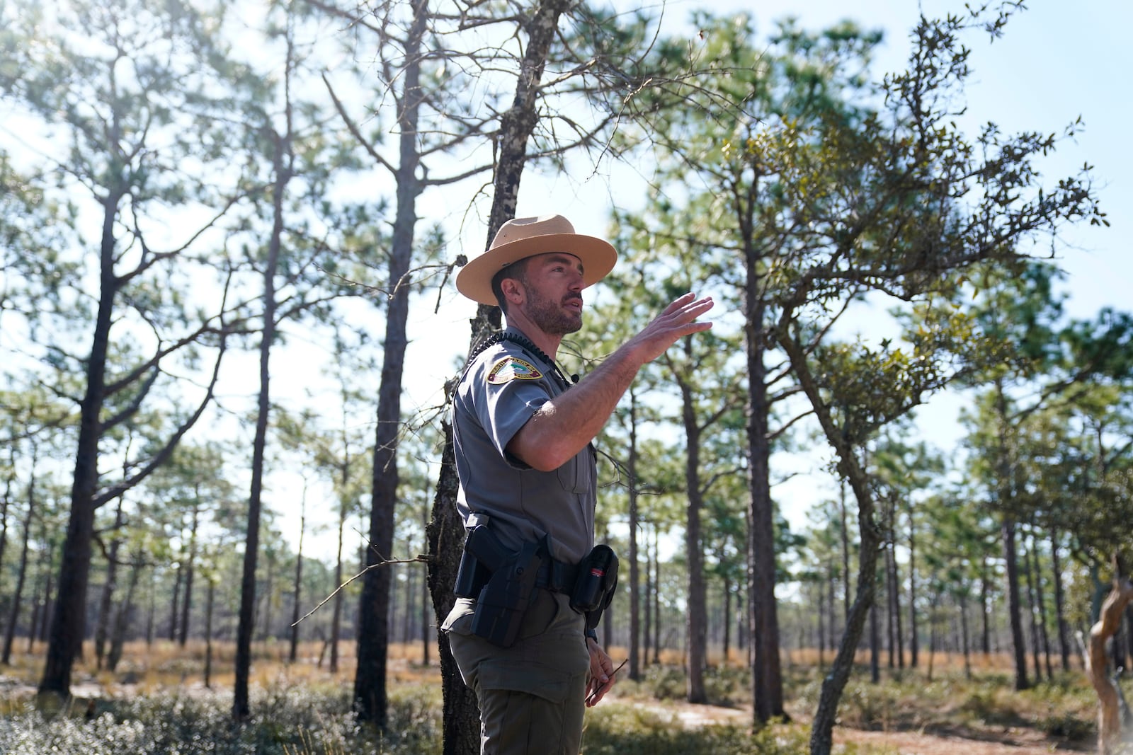 Park ranger Jesse Anderson speaks during a weekly carnivorous plant hike Saturday, March 22, 2025, in Carolina Beach, N.C. (AP Photo/Erik Verduzco)