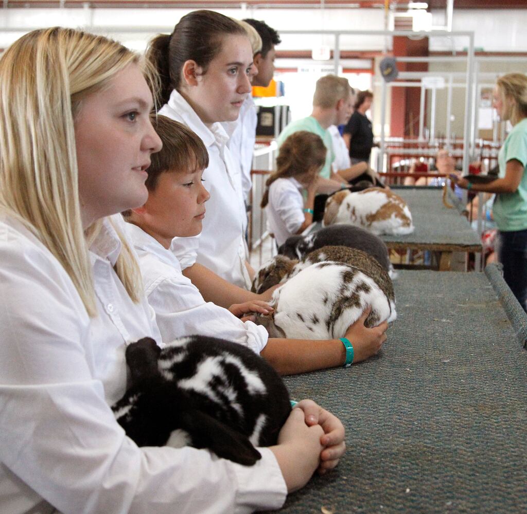 Kids and their animals big and small at Montgomery County Fair