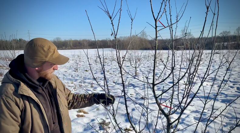 Stephen Martinek of Sugarcreek Twp. planted six apple trees in 2015 on his farm. After nearly 10 years of learning and growing, he’s hosting his first public cider pour at Joui Wine in downtown Dayton on Feb. 16. NATALIE JONES/STAFF