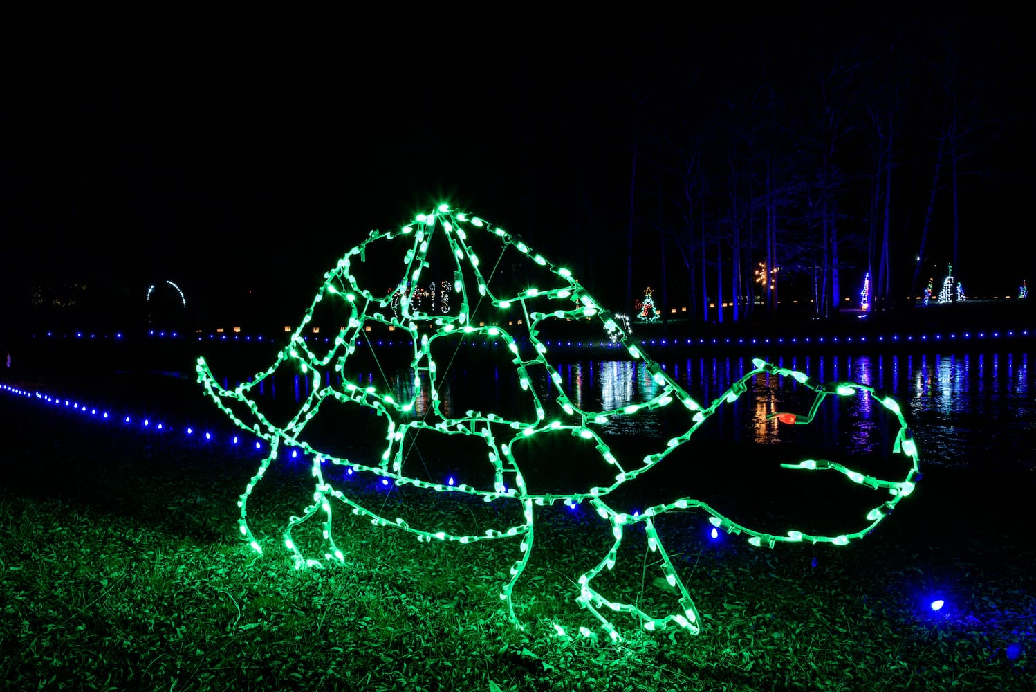 PHOTOS: A walk through Woodland Lights in Washington Township