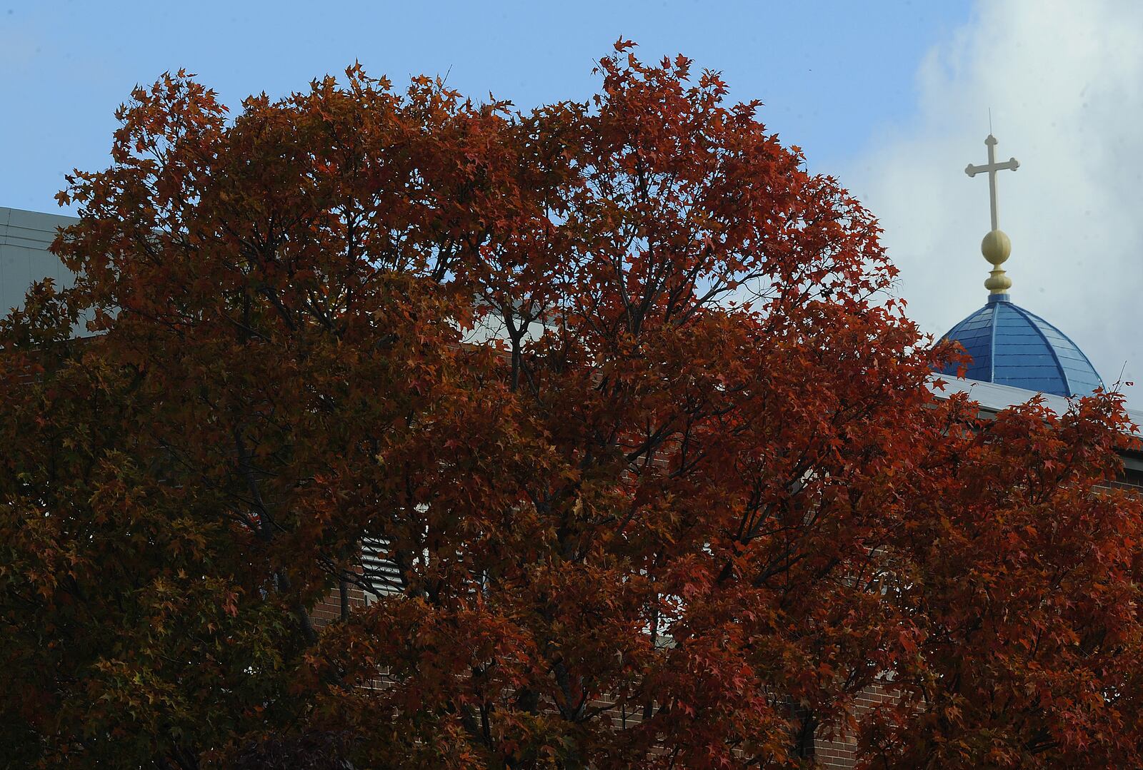The fall colors are coming alive on the UD campus. MARSHALL GORBY\STAFF