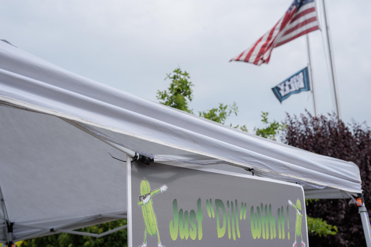 PHOTOS: Did we spot you at Pickle Fest - Just Dill With It! at Austin Landing?