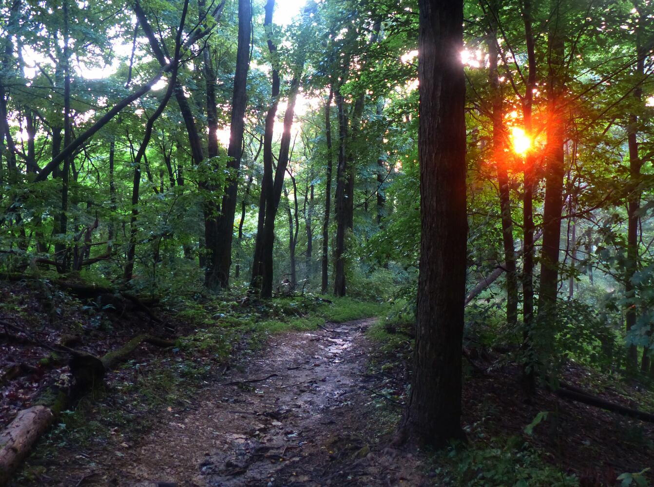 Scenic getaways in Indiana