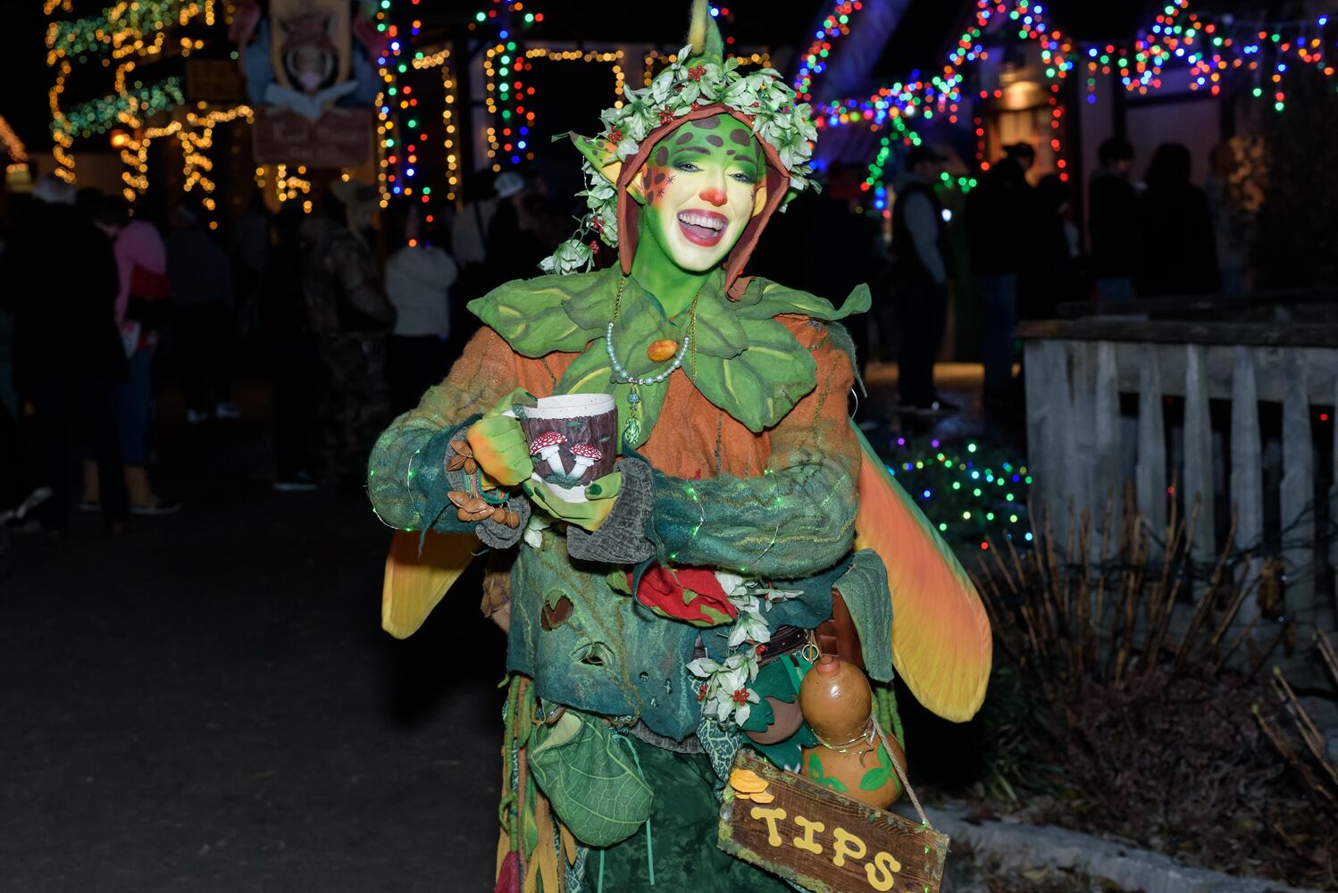 PHOTOS: Yuletide Village: Season of Lights at Renaissance Park Event Center