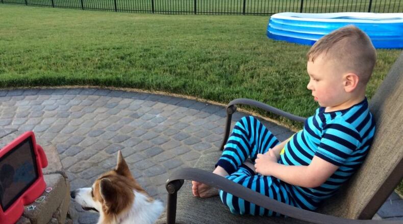 Gavin and Roller, a corgi, watch a video. Gavin and his dog live in Bellbrook. MARISSA SCHNEIDER/CONTRIBUTED