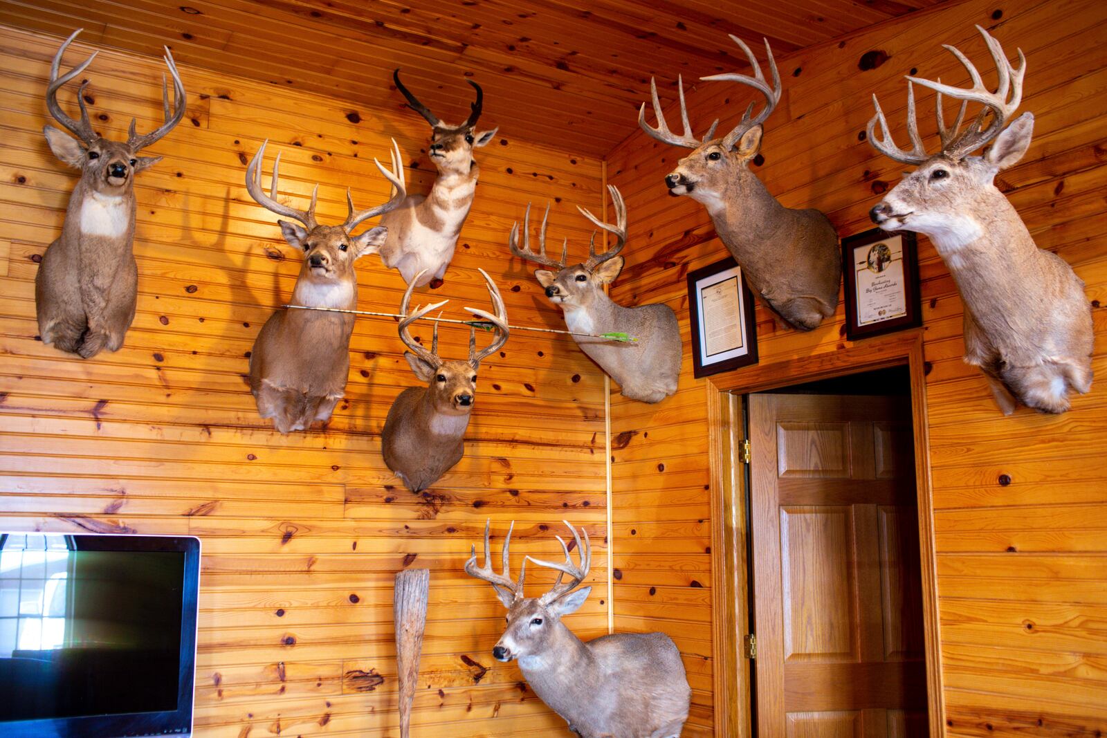 Leroy Braun's farm office displays mounts of deer hunted on his farm in Spink County, S.D., Tuesday, March 11, 2025, in one of the counties that a proposed Summit Carbon Solutions pipeline would cut through. (AP Photo/Nicole Neri)