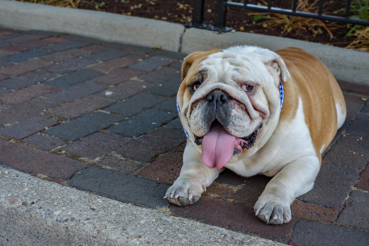 PHOTOS: Did we spot you Out on Fifth?