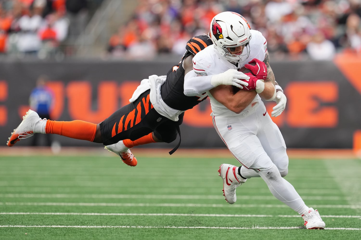 APTOPIX Cardinals Bengals Football