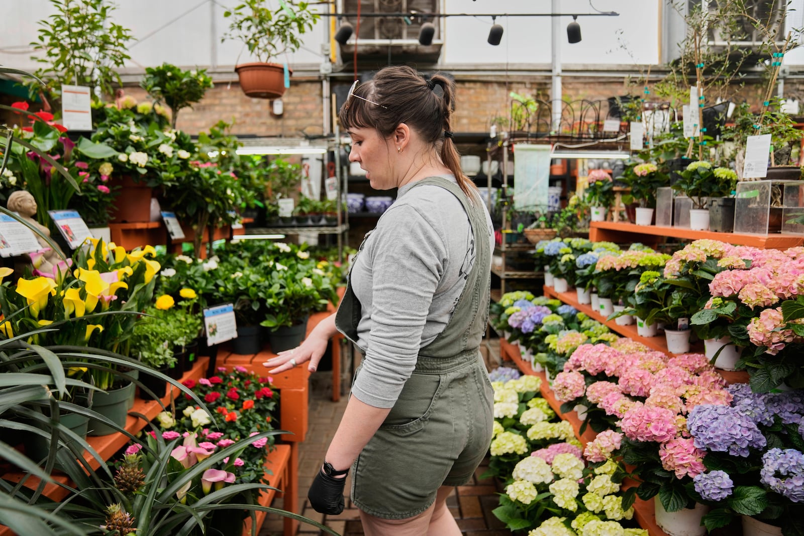 Employee Lauren Owen points out a variety of flowers imported from Canada for sale at Gethsemane Garden Center, Thursday, April 3, 2025, in Chicago. (AP Photo/Erin Hooley)