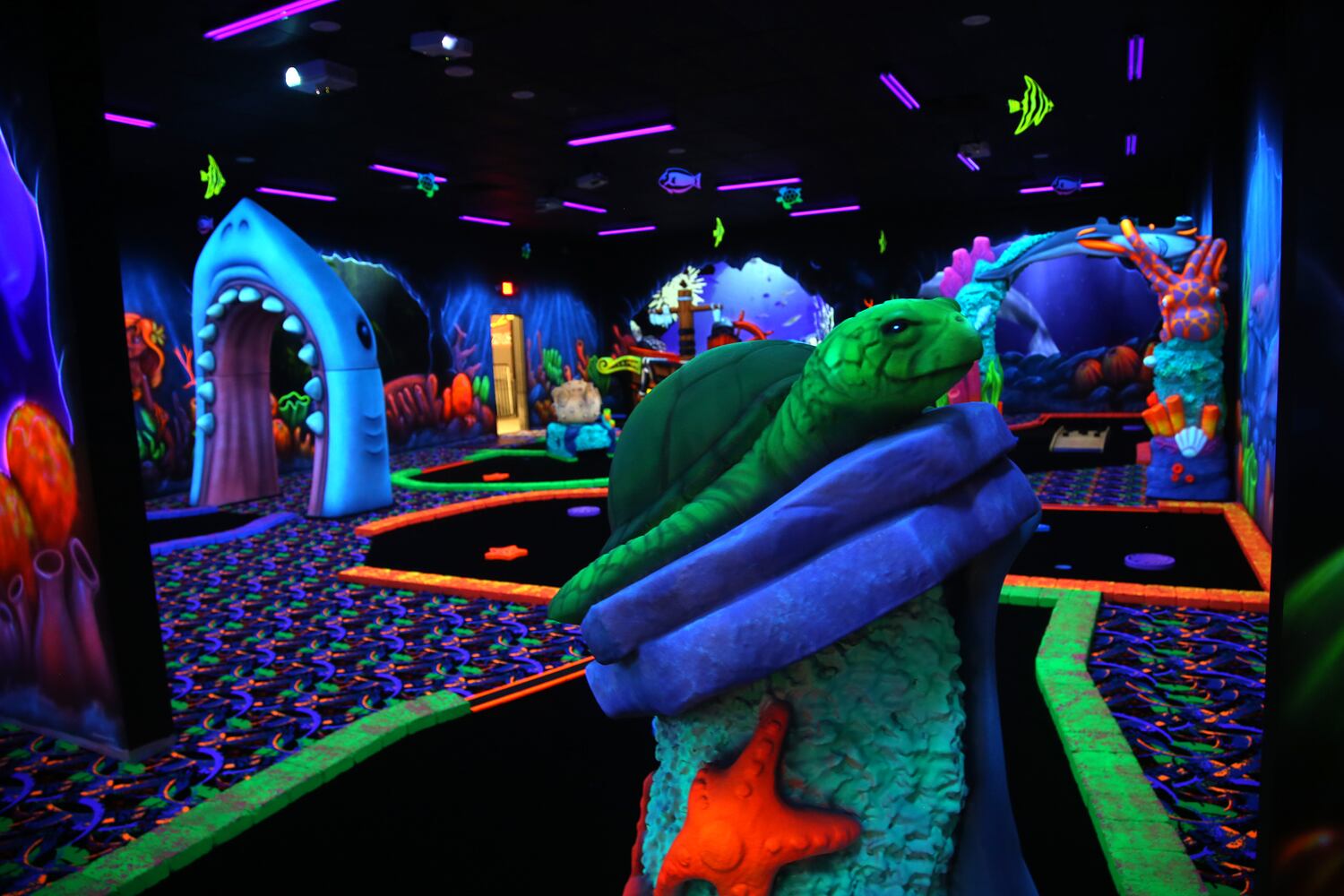 Sneak Peek: Scene75 prepares to reopen with new two-story carousel and indoor spin coaster
