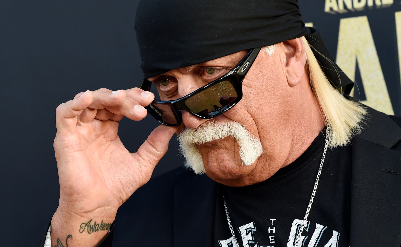 FILE - Professional wrestler Hulk Hogan poses for photographers on March 29, 2018, in Los Angeles. (Photo by Chris Pizzello/Invision/AP, File)