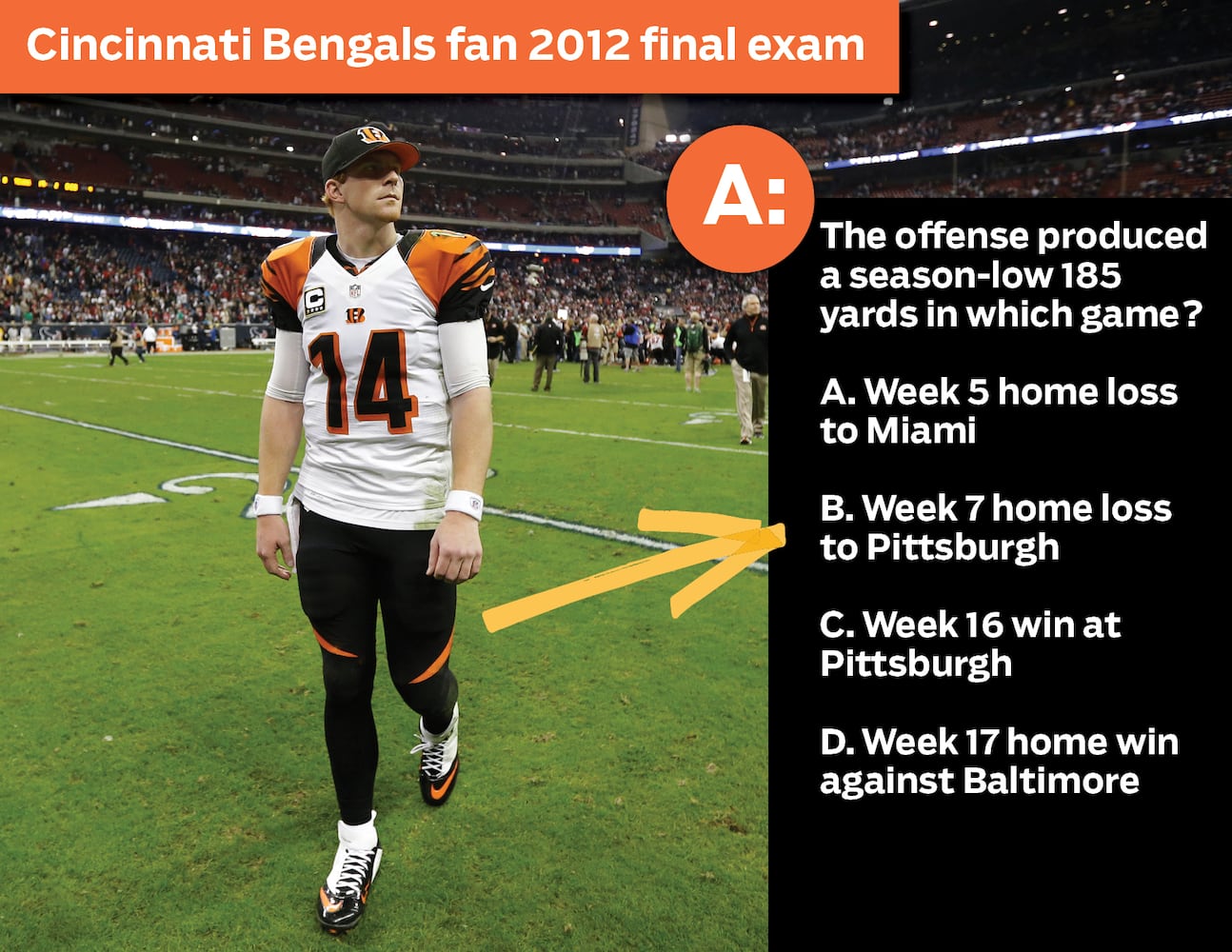 Cincinnati Bengals fan 2012 final exam: