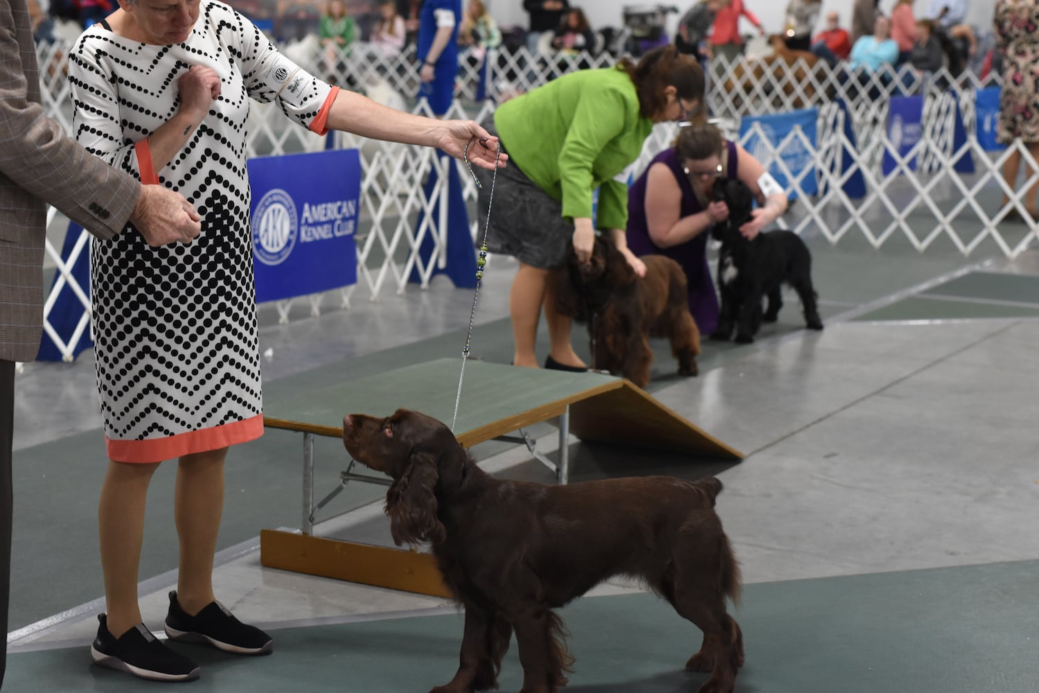 Fort St. Clair Kennel Club Dog Show