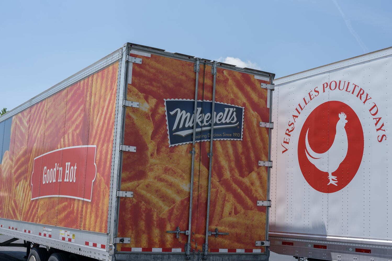 PHOTOS: Did we spot you at the Versailles Poultry Days Festival?