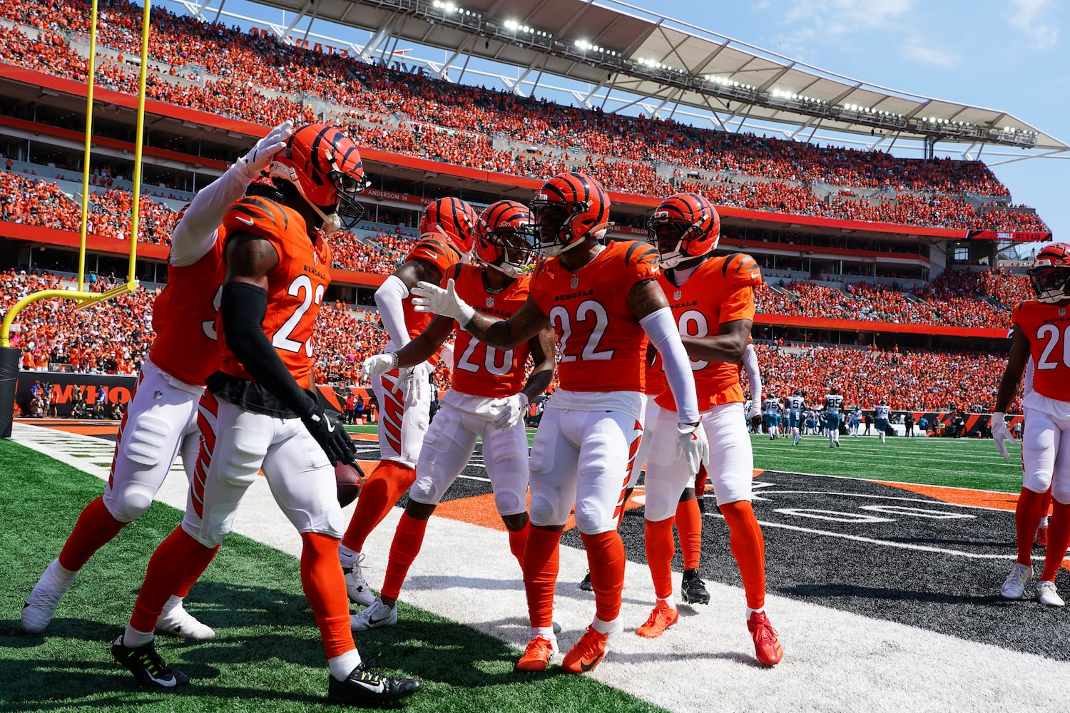 Jaguars Bengals Football