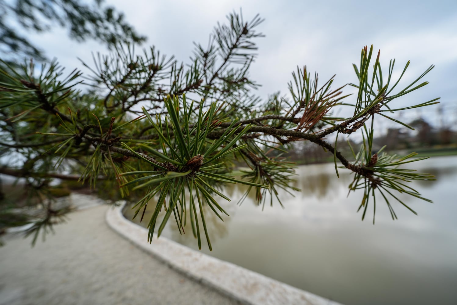 PHOTOS: Take a walk through beautiful Cox Arboretum this spring