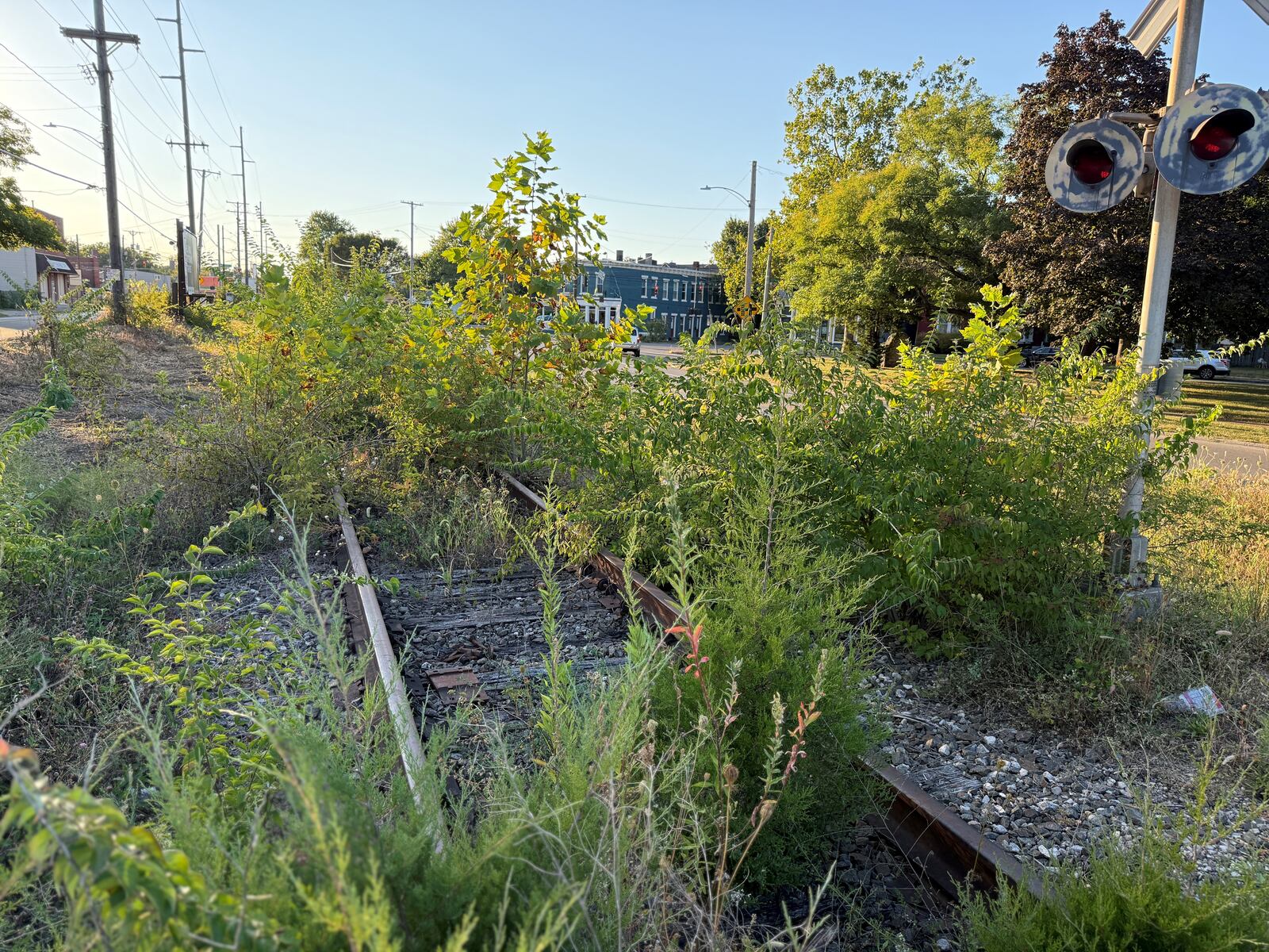 Weeds and brush cover a vacated rail line that belongs to Norfolk Southern in East Dayton. The city, which wants to buy the line, says Norfolk Southern in August 2025 agreed to clean up the unused track. CORNELIUS FROLIK / STAFF
