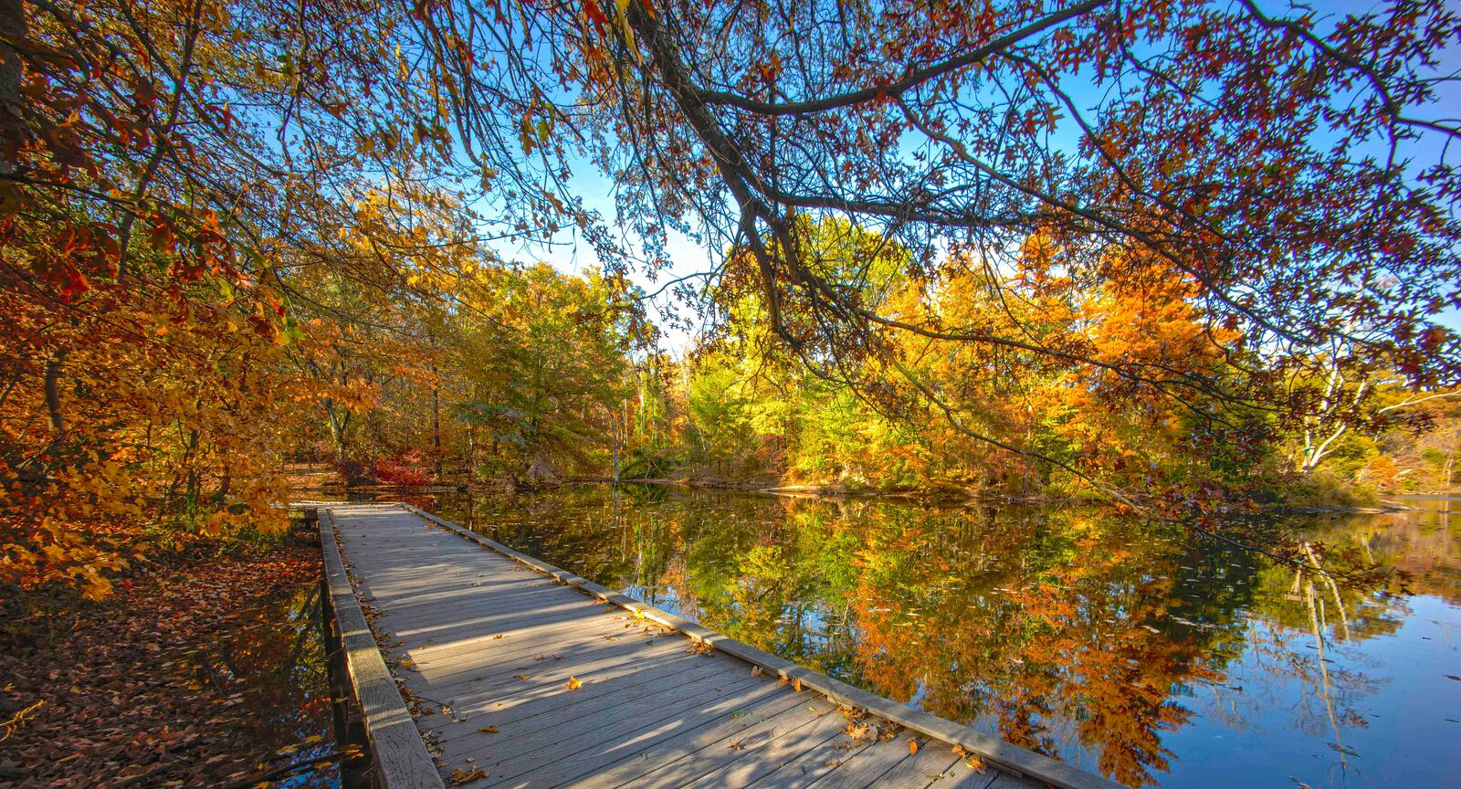Cincinnati Nature Center in Milford, Ohio is just an hour drive from Dayton, and offers outdoor fun for all ages. CONTRIBUTED